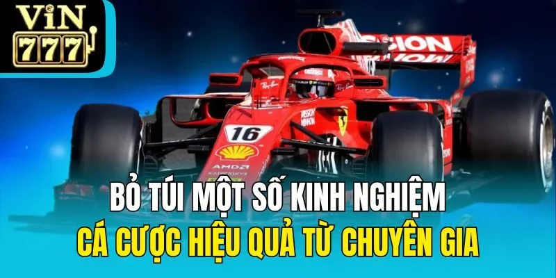 Bỏ túi một số kinh nghiệm cá cược hiệu quả từ chuyên gia