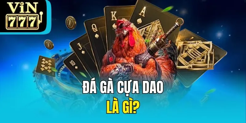 Đá gà cựa dao là gì?