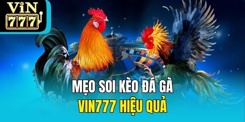 Mẹo soi kèo đá gà Vin777 hiệu quả