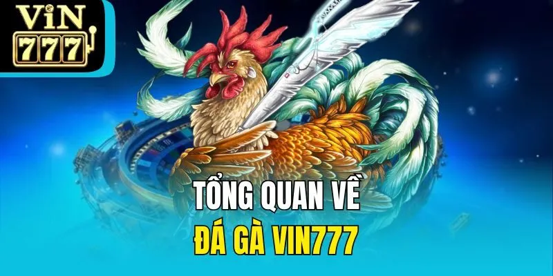 Tổng quan về đá gà Vin777