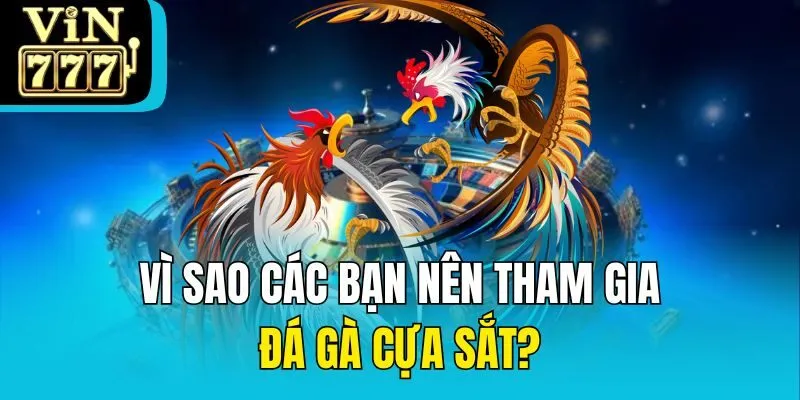 Vì sao các bạn nên tham gia đá gà cựa sắt?